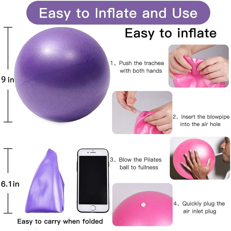XIECCX Mini Yoga Balls Exercise Pilates Ball Therapy Ball Balance Ball Bender Ball Barre Equipment 1PC for Home Stability Squishy Training PhysicalCore Training with Pump A-purple 6 Inch - BeesActive Australia
