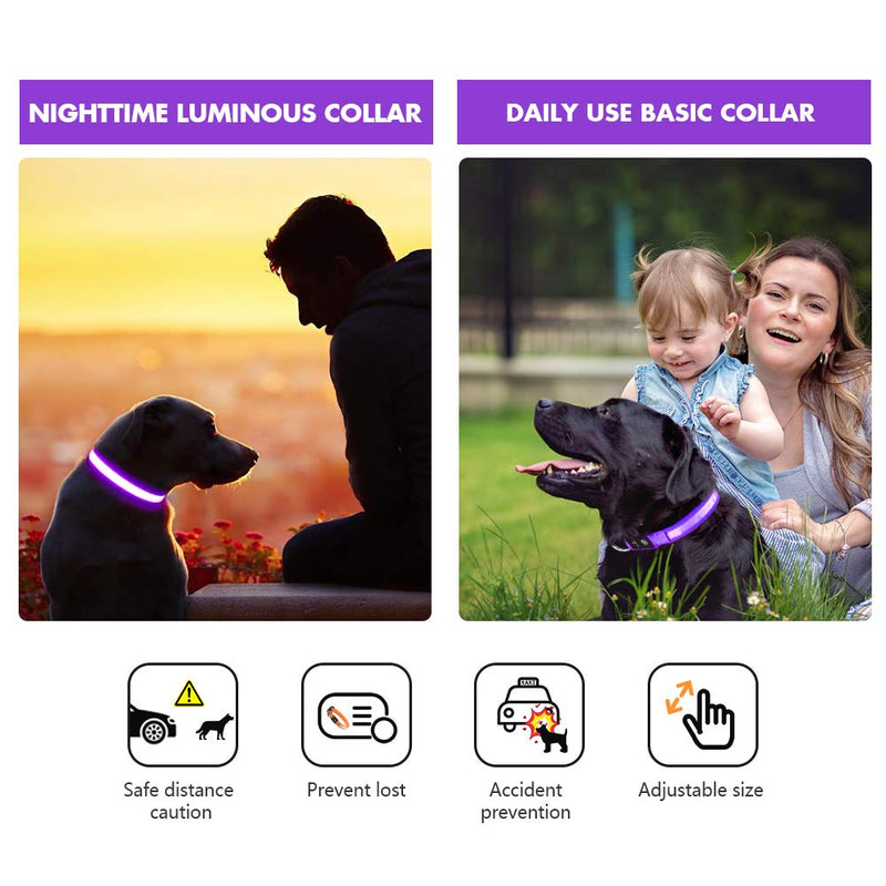 MASBRILL Light Up Dog Collar, LED Glow Collar with USB Rechargeable Lighted Bright Purple Dog Flashing Collar Waterproof, 4 Colors with 3 Sizes for Small Medium Large Dogs M(0.98*19.69") - BeesActive Australia
