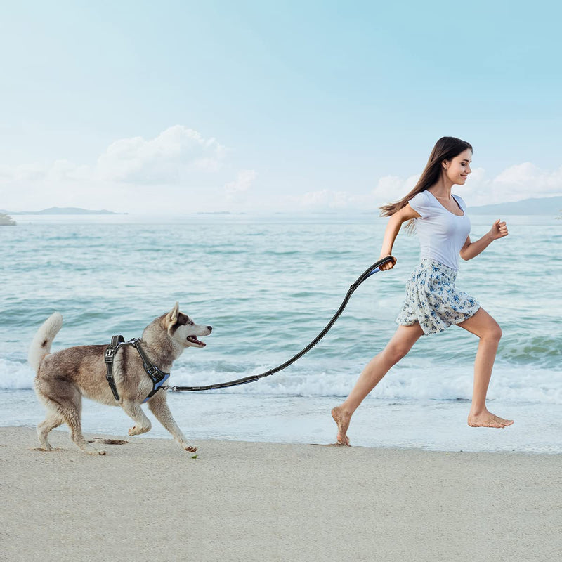 PoyPet 5 Feet Dog Leash - Reflective - 2 Cushioned Handles - Functional Car Seat Belt Light Blue Classic - BeesActive Australia
