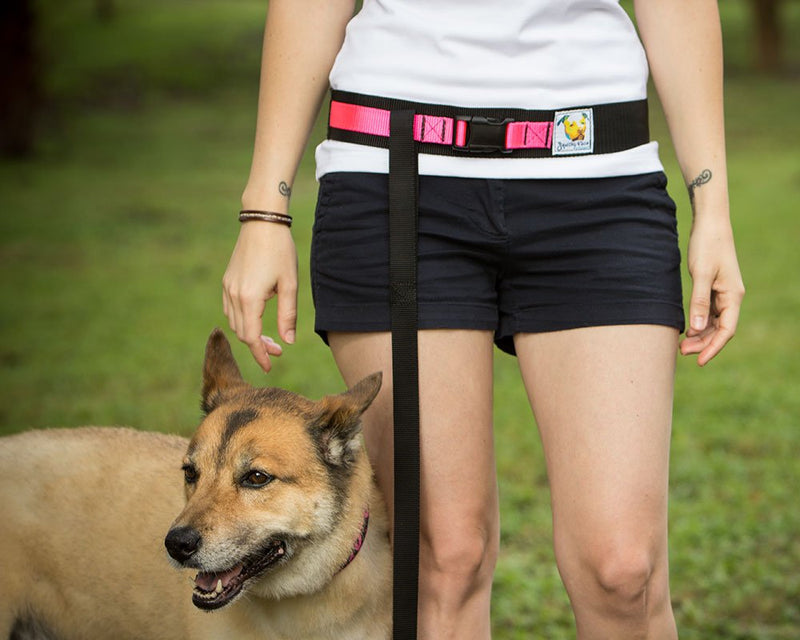 Squishy Face Studio Hands Free Dog Leash Belt Medium-Large Neon Pink - BeesActive Australia