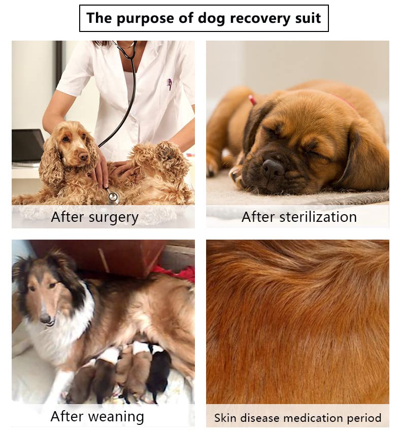 ZIMAOSHAN Recovery Suit for Dogs After Surgery,E-Collar & Cone Alternative，Prevent Licking Dog Bodysuit，Anti-Biting Lick Wound,Surgical Onesies for Female Male,Shedding Suit for Dogs XX-Large Red stripe-short - BeesActive Australia