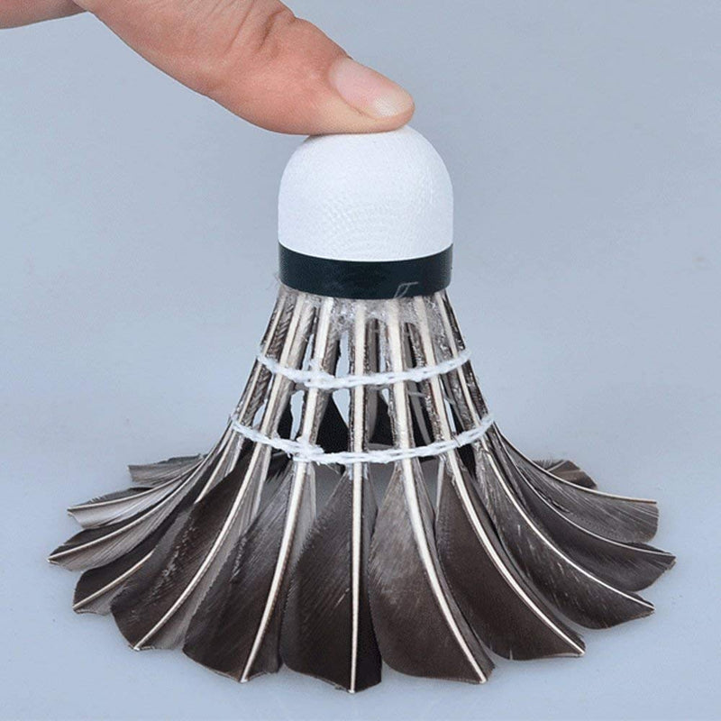 ZHENAN 12-Pack Black Goose Feather Badminton Shuttlecocks with Great Stability and Durability Goose Feathers Badminton Balls,Hight Speed Badminton Birdies Balls - BeesActive Australia