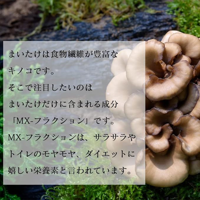[Ripsa Official] Maitake Condensed Supplement Approximately 1 Month's Supply C-206 MX Fraction - BeesActive Australia