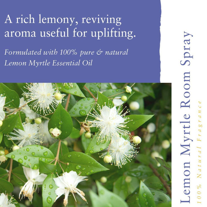 Absolute Aromas Natural Lemon Myrtle Room Spray 30ml with 100% Pure Lemon Myrtle Essential Oil 30 ml (Pack of 1) Single - BeesActive Australia