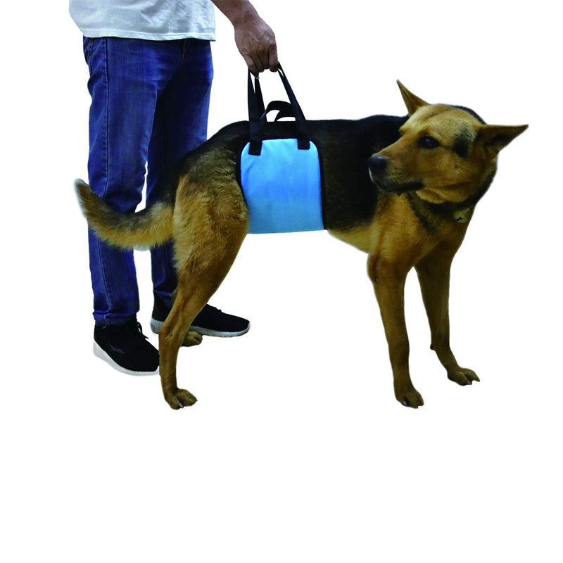 Missbho Breathable Lining Dog seat Belts, Dogs on hind Legs Lift The seat Belt to Help Elderly Dogs with Limited Mobility (Sky Blue) - BeesActive Australia
