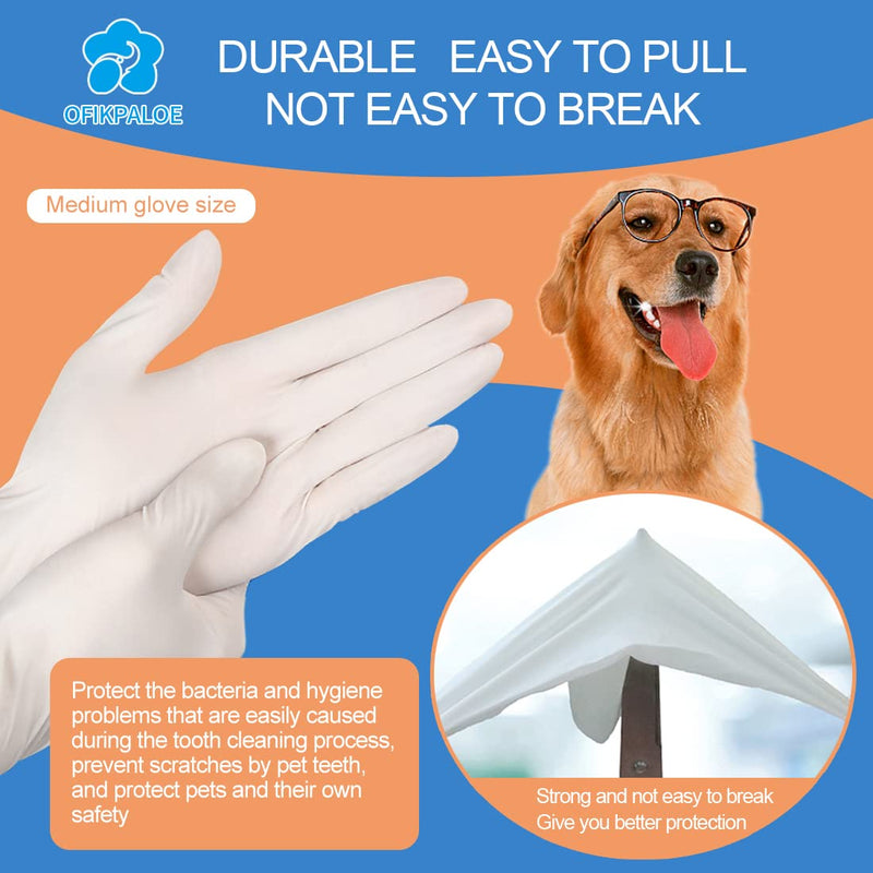 ofikpaloe Dog Teeth Scaler, Double Headed Spatula, Stainless Steel, Tartar Remover Pet Teeth Cleaning Tool for Dogs and Cats 7pcs - BeesActive Australia