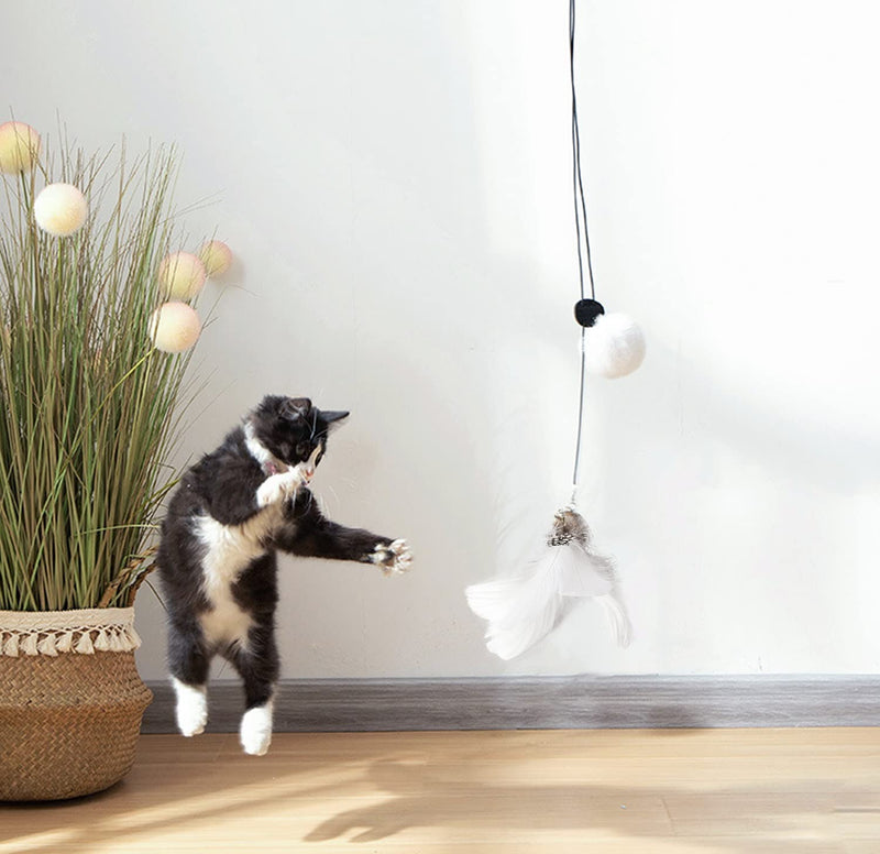LEKEWPET Retractable cat Feather Toys, 8PCS Feather Replacement with Bell, Interactive Door Hanging Teaser cat Toys for Indoor Cats. Kitten Play Pompom Teaser & Feather Teaser with Bell. 7PCS feathers & catnip mouse - BeesActive Australia
