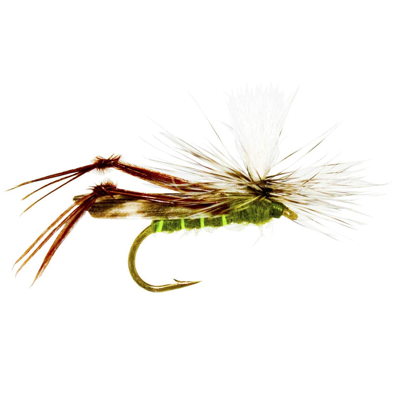 Outdoor Planet 12 Psycho Prince/Anato May/PMX/Parachute Hopper Dry Flies and Nymph Flies for Trout Fly Fishing Flies Lure Assortment 12 Parachute Hopper - BeesActive Australia