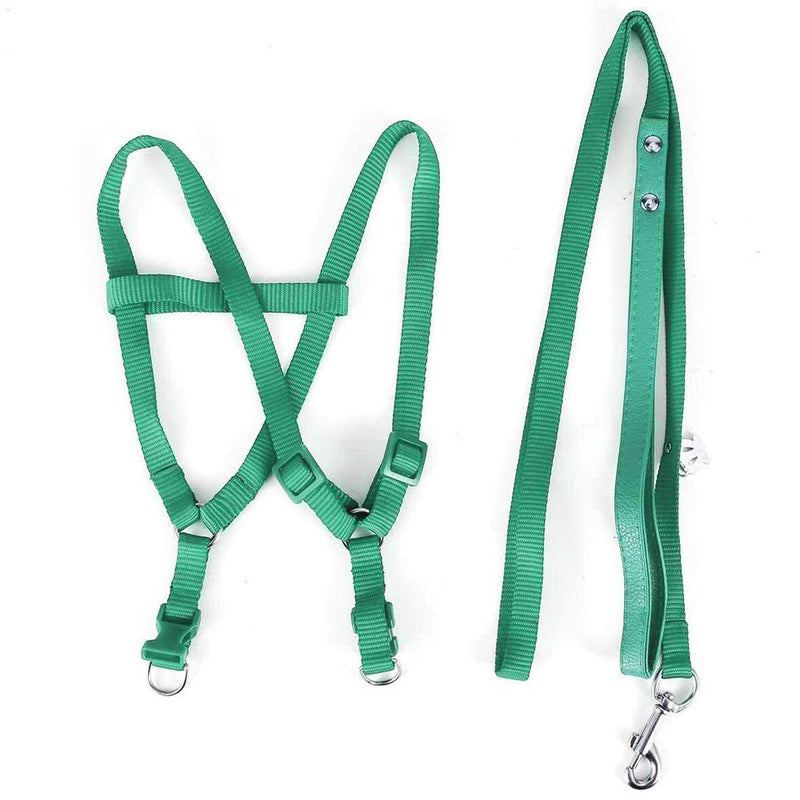 ASOCEA Adjustable Bird Harness and Leash for Yellow Naped Amazons Galah Cockatoos Small to Medium Breed Parrots Fits Birds Chest Between26-40cm /10.24-15.75inch - S - BeesActive Australia