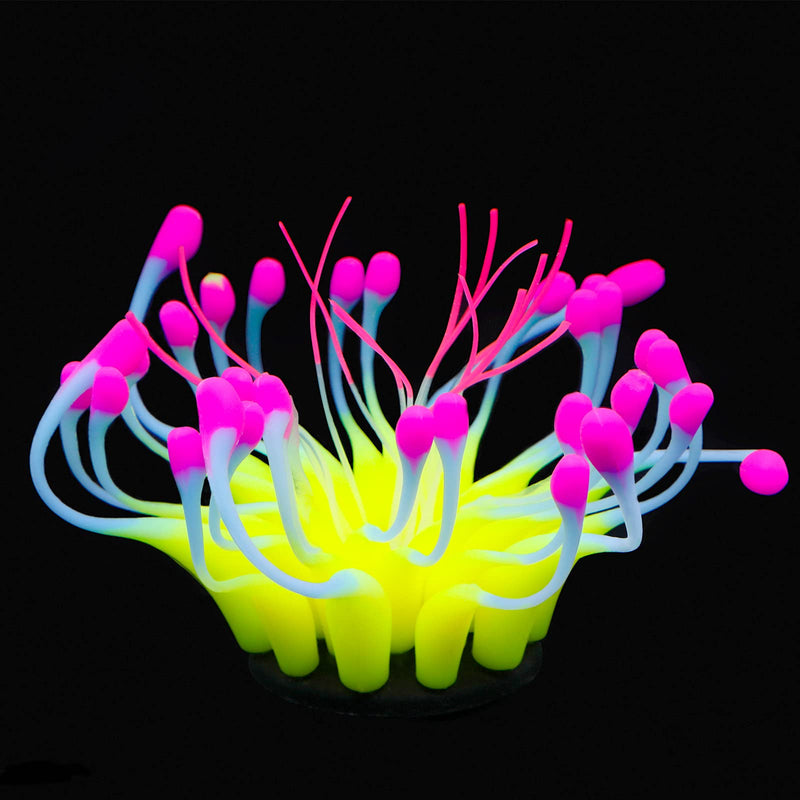 Uniclife Glowing Effect Silicone Artificial Gooseneck/Sunflower Coral Plant for Fish Tank, Aquarium Landscape Decoration, Fish Tank Decorations Yellow - BeesActive Australia