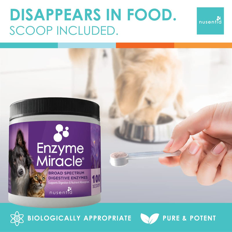 Digestive enzymes clearance for dogs australia