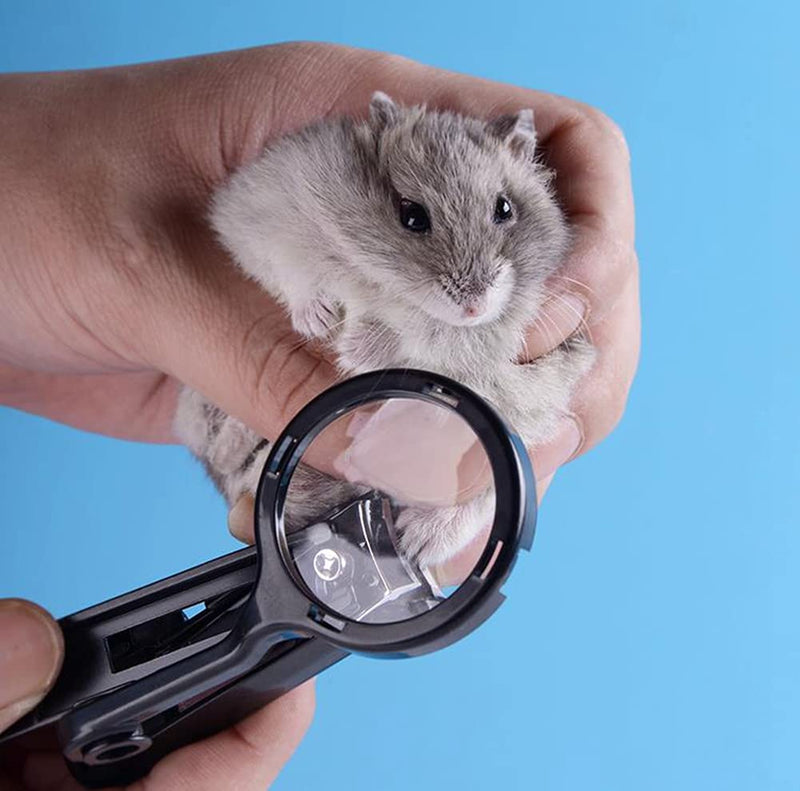 HAICHEN TEC Guinea Pig Nail Clippers with Magnifying Glass Stainless Steel Claw Toenail Trimmer for Small Animal Hedgehog Rabbit Hamster Ferret Hamsters Chinchilla Sugar Glider Pet Grooming Supplies Black - BeesActive Australia