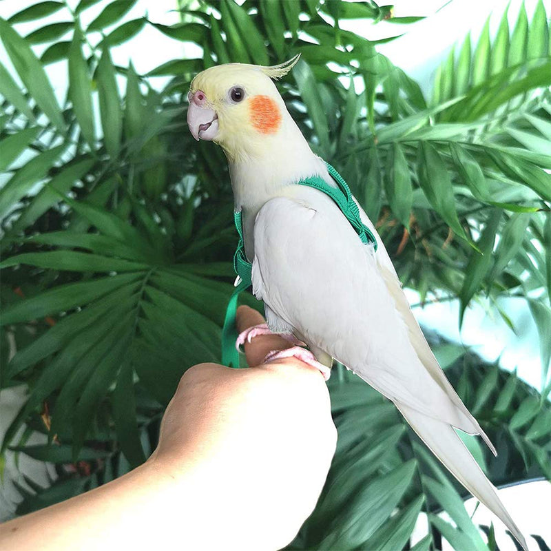 ASOCEA Adjustable Bird Harness and Leash for Yellow Naped Amazons Galah Cockatoos Small to Medium Breed Parrots Fits Birds Chest Between26-40cm /10.24-15.75inch - S - BeesActive Australia