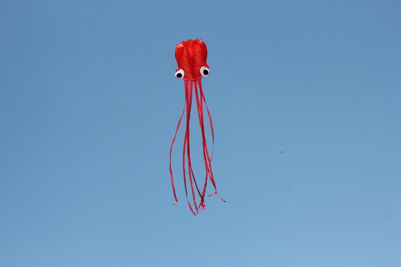[AUSTRALIA] - HENGDA KITE Software Octopus Flyer Kite with Long Colorful Tail for Kids, 31-Inch Wide x 157-Inch Long, Large, Red All Red 