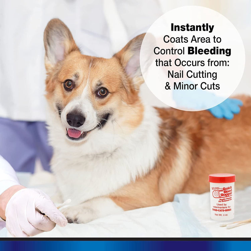 Four-Paws 4 Pack of Quick Blood Stopper Kits, 0.5 Ounces each, Antiseptic Styptic Powder and Swabs for Dogs, Cats and Birds - BeesActive Australia