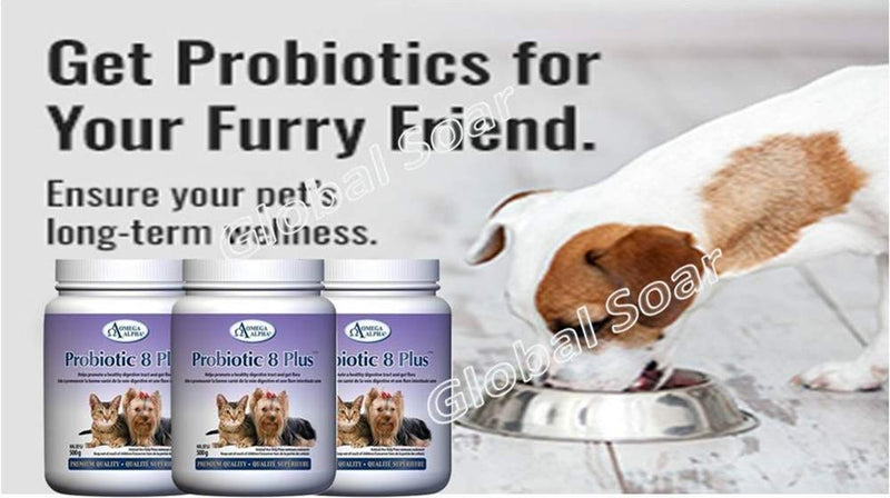 Omega Alpha Pet Probiotic 8 Plus - Probiotics, Enzymes, and Fibre for Better Pet Digestion.-500g - BeesActive Australia