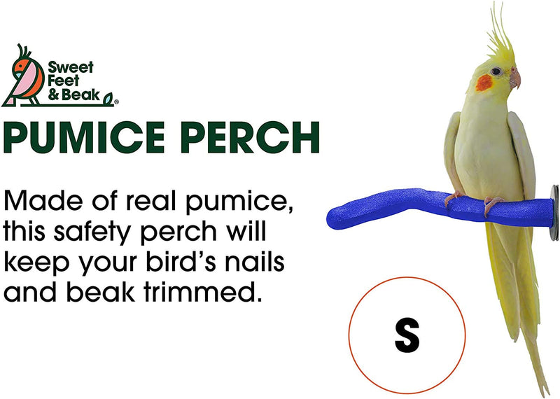 Sweet Feet and Beak Safety Pumice Perch for Birds Features Pumice to Trim Nails and Beak and Promote Healthy Feet - Safe and Non-Toxic, for Bird Cages Small 8" Purple - BeesActive Australia