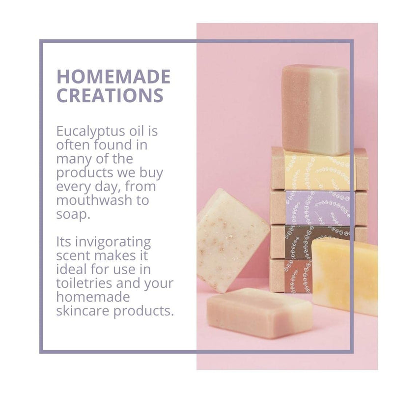 Freshskin Beauty LTD | Eucalyptus Essential Oil - 100ml - 100% Pure & Natural Essential Oils - BeesActive Australia