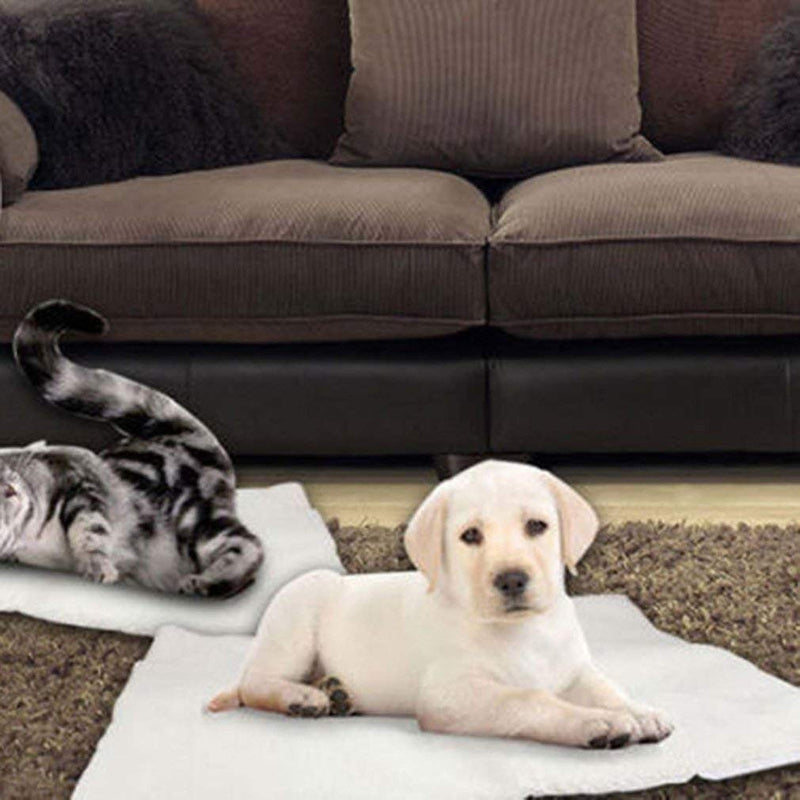 Klemon Self Heating Pet Pads Pet Blanket for Cat/Dog,Pet Heating Pad,Self Warming Cushion Mat for Cats Dogs,Self Heated Cat Dog Bed/Pet Thermal Mat Blanket Ecological 60x45 cm - BeesActive Australia