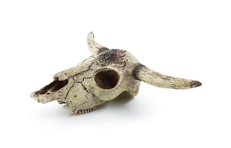 Leoyoubei Aquarium Decoration, Fish Tank Small Skull,Fish Turtle Hidden, Bonsai beautification. Cave Landscape Pet Reptile House Shrimps & Snails Love Them (Cattle Skull) - BeesActive Australia