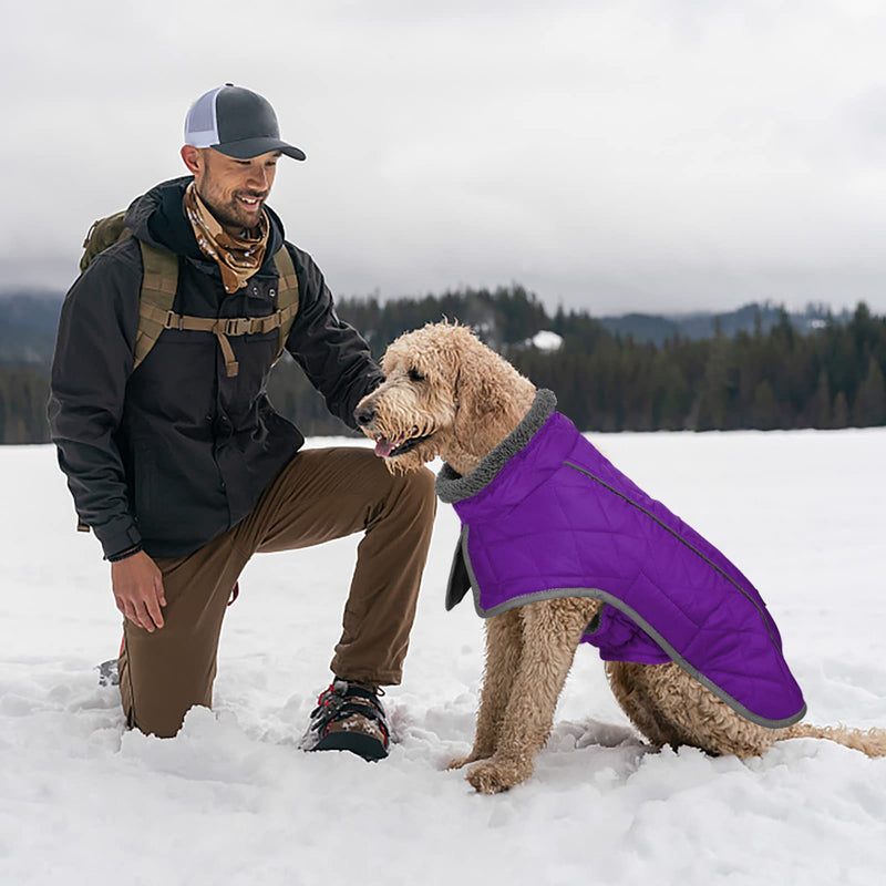 Fragralley Dog Winter Coat Jacket - Reflective Adjustable Windproof Dog Turtleneck Clothes, Doggie Cold Weather Vest, Warm Fleece Lining Puppy Snow Coat for Small Medium Large Dogs Purple - BeesActive Australia