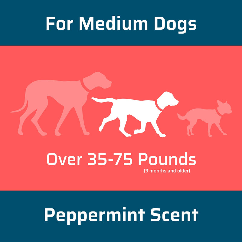 Wondercide - Flea and Tick Dog Spot On - Flea, Tick, and Mosquito Repellent, Prevention for Dogs with Natural Essential Oils - Pet and Family Safe Up to 3 Months Protection - Medium 3 Tubes of 0.10 oz - BeesActive Australia