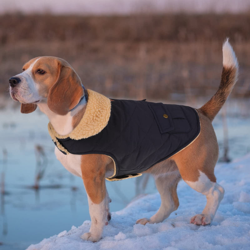 Queenmore Cold Weather Dog Coat, Winter Quilting Dog Jacket Ultra Warm Thick Plush Lining with Storage Pockets Small Dark Navy - BeesActive Australia