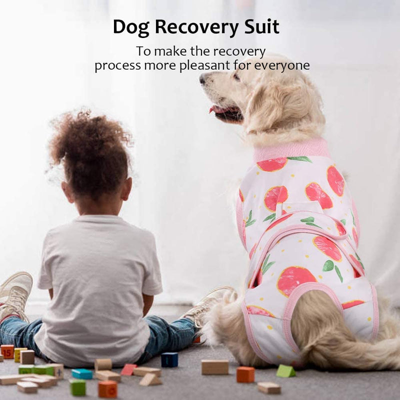 Kuoser Recovery Suit for Dogs Cats After Surgery, Professional Pet Recovery Shirt Dog Abdominal Wounds Bandages, Substitute E-Collar & Cone,Prevent Licking Dog Onesies Pet Surgery Recovery Suit Large (Back:16.1-20.1'', Weight:23-48 LB) Pink - BeesActive Australia