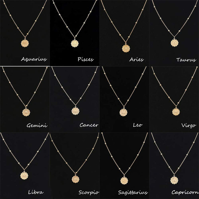Aimimier Zodiac Sign Necklace with Medallion Coin Pendant Leo Necklace Astrology Statement Jewelry Gift for Girlfriend Women (Gold) Gold - BeesActive Australia