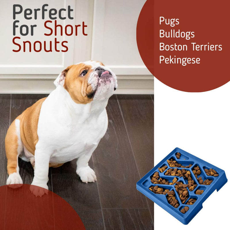 Leashboss Flat Face Feeder, Tilted Slow Feed Bowl for Short Snout Dogs & Cats, Slanted Maze Food Bowl for French Bulldogs, Pugs, Boston Terriers Blue - BeesActive Australia