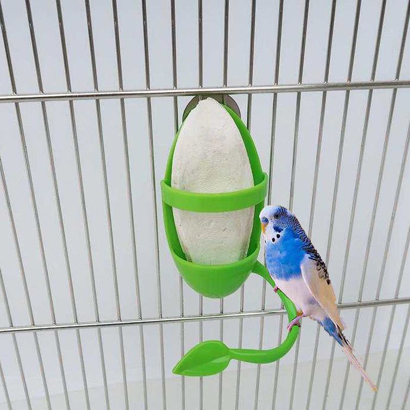 Plastic Bird Feeding Holder for Cuttlebone on Cage Parrot Cage Stands Parrots Feeder Perches ,3 Pieces - BeesActive Australia
