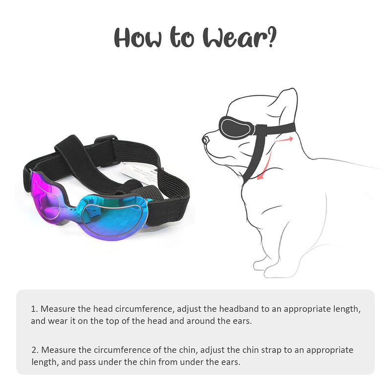 PEDOMUS Dog Sunglasses Small Dog Goggles Doggles Dog Glasses for Small Dogs Adjustable Band Blue - BeesActive Australia