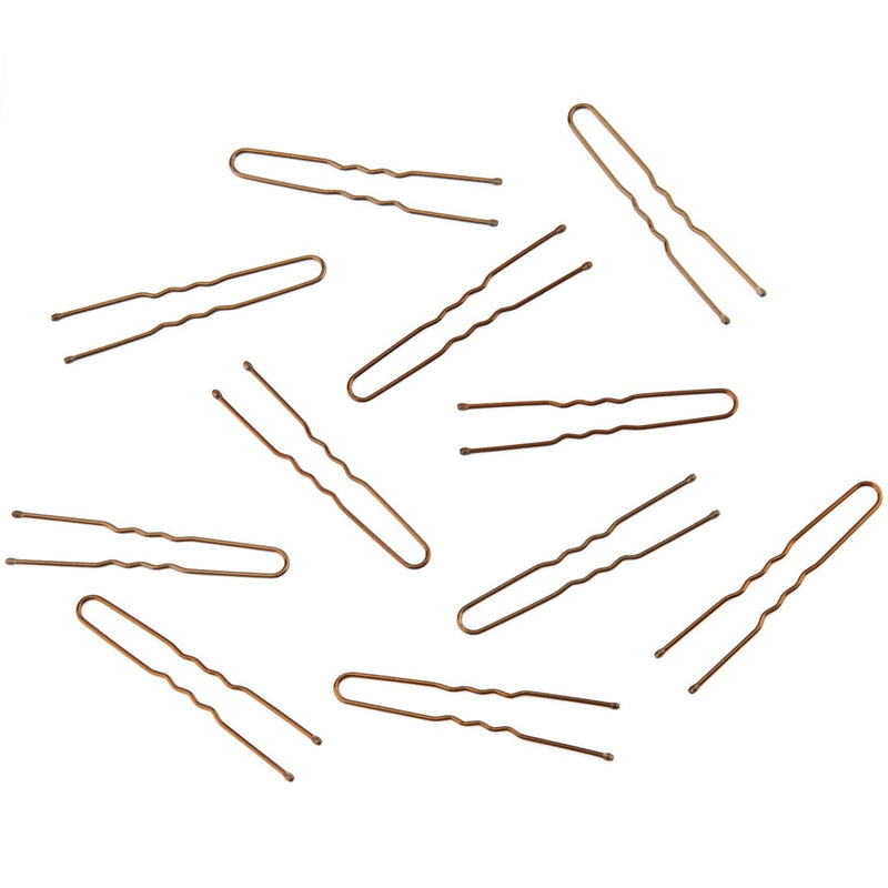 AIEX 200pcs Hair Pins Kit Hair Clips Secure Hold Bobby Pins Hair Clips for Women Girls (200pcs/Bronze) - BeesActive Australia