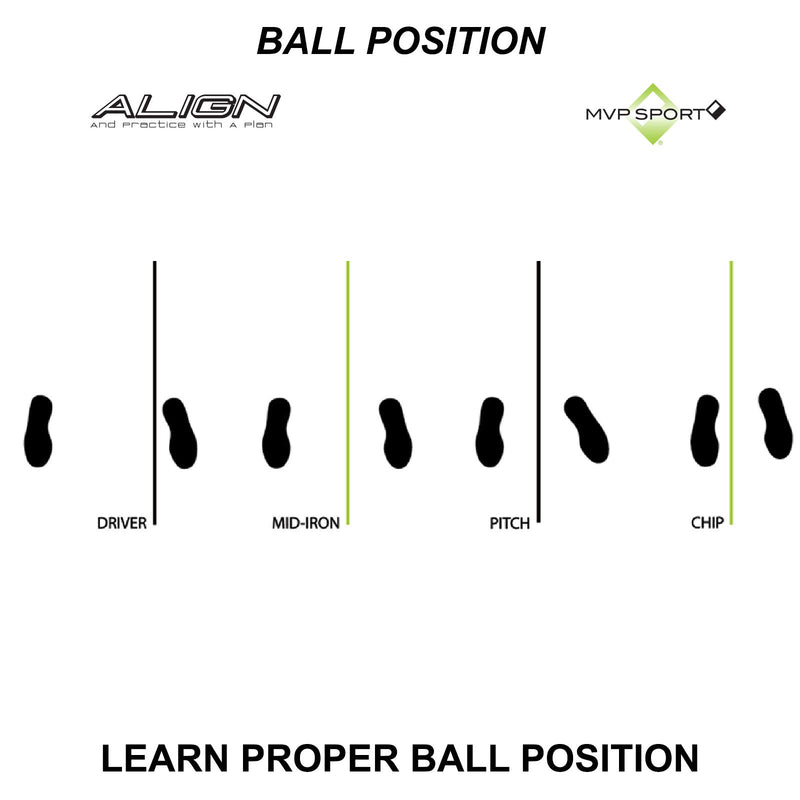 A Swing Alignment Rods 2-Pack by David Leadbetter (MoRodz) Blue - BeesActive Australia