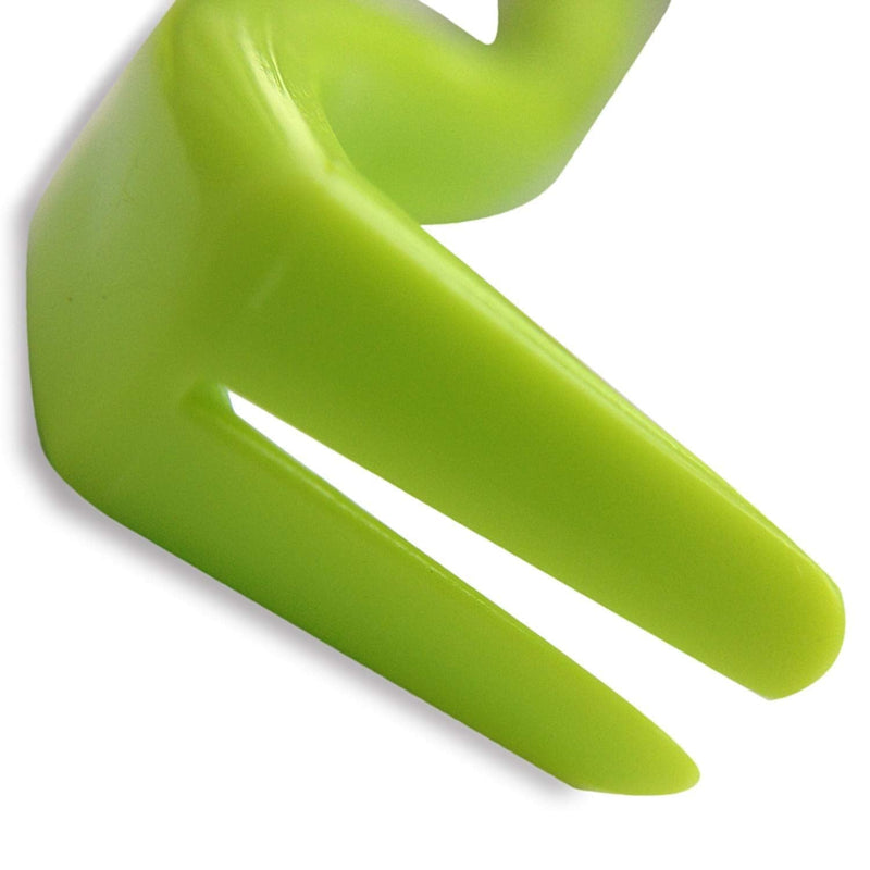 Charmsong Tick Tool Safe for Pets 3 Count (Pack of 1) Green - BeesActive Australia