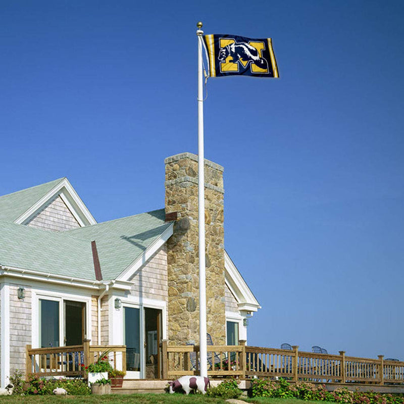 College Flags & Banners Co. Michigan Wolverines Vintage Retro Throwback 3x5 Banner Flag - BeesActive Australia