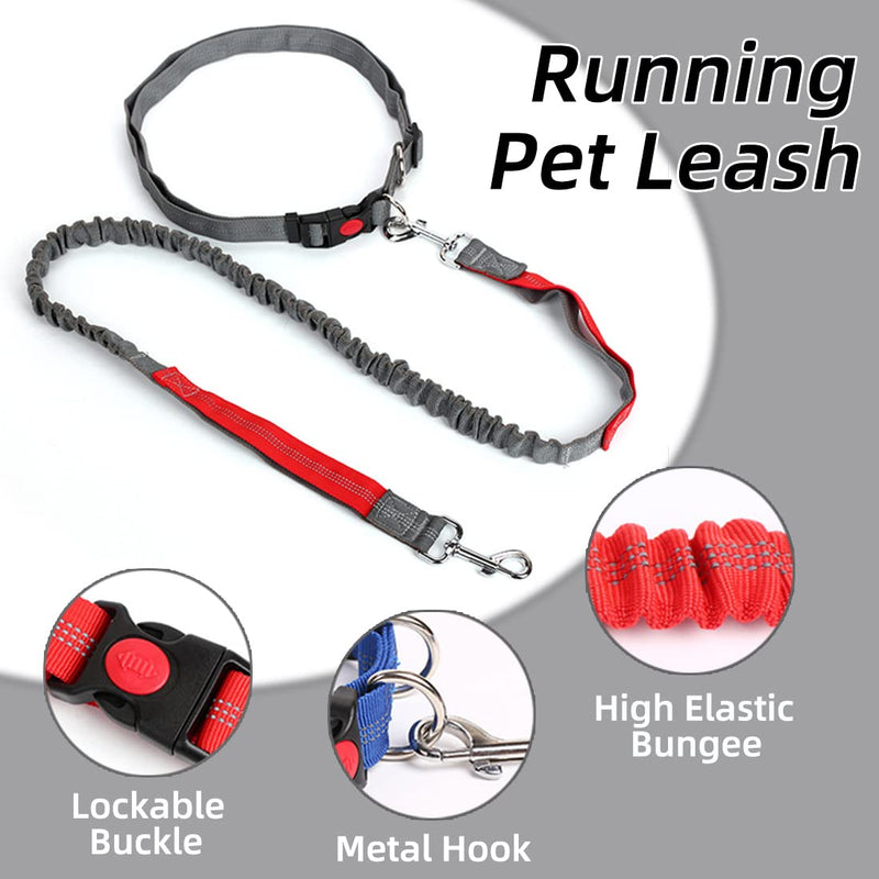 Hands Free Running/Walking/Training Dog Leash of 4 feet, Reflective Stitching Safety Proof Locking Buckle Waist Belt of 50.4 Inch/128 cm, Comes with a Bonus Dog Collar. Medium Leash (Blue/Red) + Collar (red) - BeesActive Australia