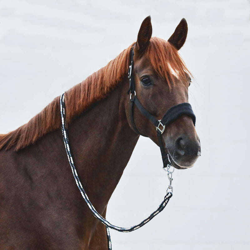 HORZE Kiel Halter with Fleece Black Warmblood - BeesActive Australia