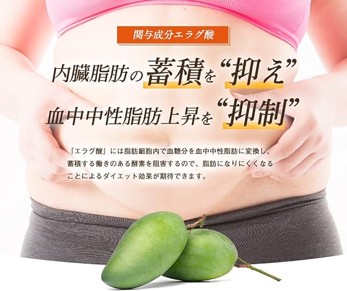 Kameyamado Wild Mango Power A Food with Function Claims 30 days supply 60 tablets [Weight, body fat, blood neutral fat, visceral fat, waist size for overweight people] - BeesActive Australia