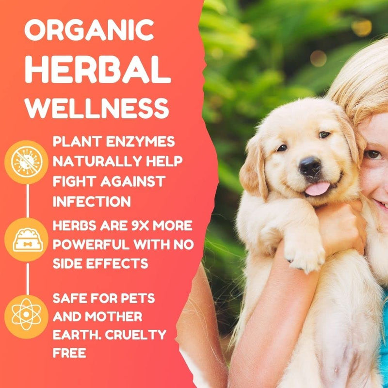 PetGlow Dog Ear Cleaner Infection Treatment. Natural Ear Drops Treat Dog Yeast, Inflammation, Anti-Itch. Stops Chronic Ear Infections. - BeesActive Australia
