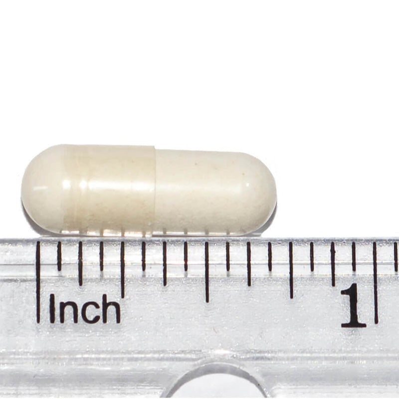 Only Natural Pet Immune Balance for Immune Support - Holistic Vitamin Dietary Supplement Formula for Dogs or Cats - Made in The USA Powder Filled Capsules 90 Capsules - BeesActive Australia