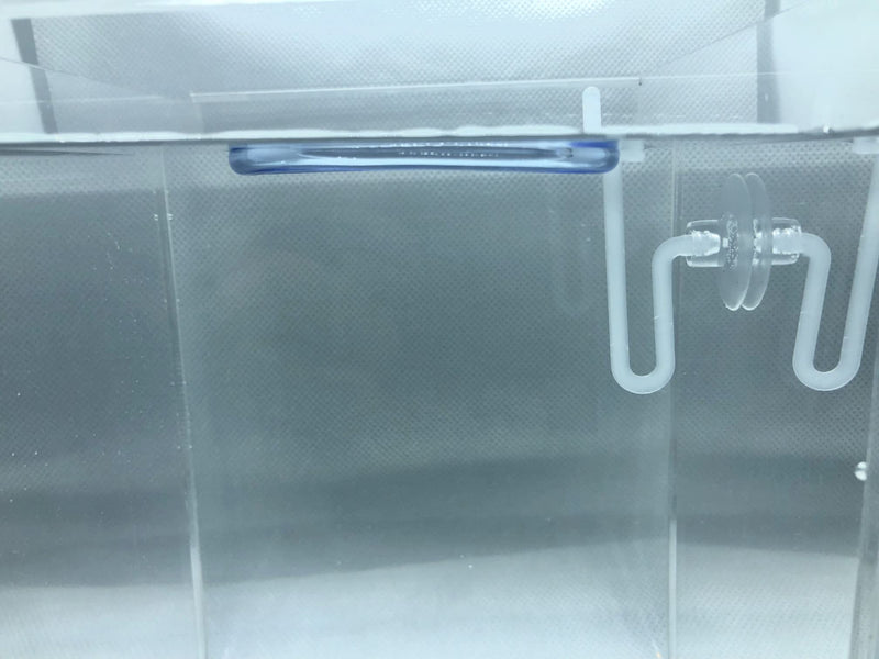 Invisible Feeding Ring (Customizable and Auto-Leveling) for Floating Plant Aquariums and Fish Tanks Standard 2.5" Feeding Ring - BeesActive Australia
