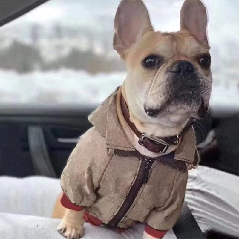 HQREA Dog Hoodie Luxury Dog Clothes Winter Dog Jacket Classic Designer Pet Clothes Coat French Bulldog Teddy Pug Puppy Clothes A Medium - BeesActive Australia