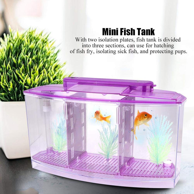 Sutinna Fish Tank, Adjustable Light Isolation Acrylic Small Aquarium, with LED Light for Small Fishes for Betta with Water Change Valve Blue,White,Purple - BeesActive Australia