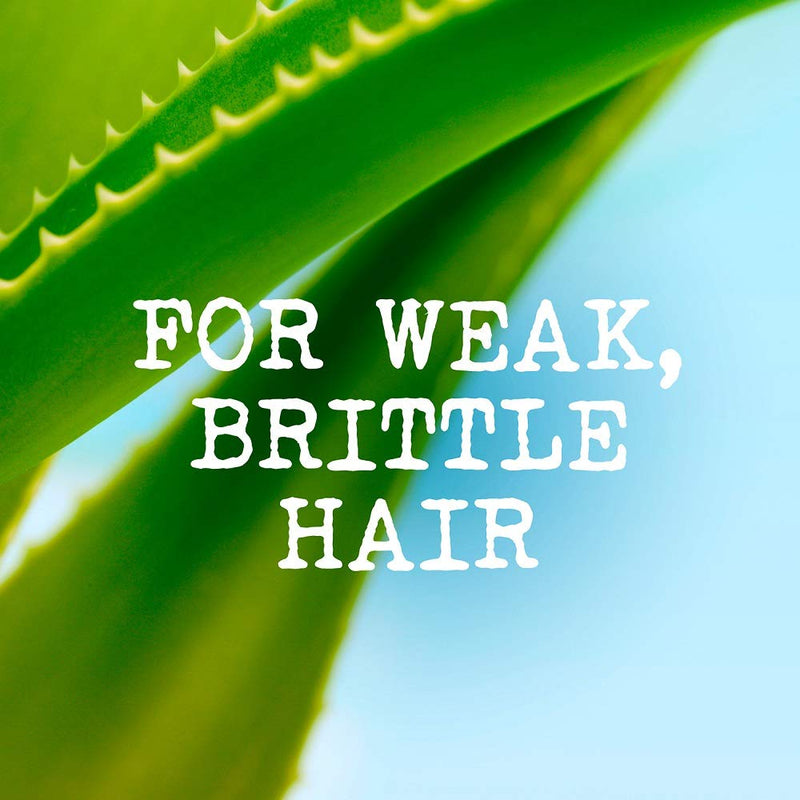 Maui Moisture Thickening and Volumising Aloe Vera and Bamboo Conditioner 385ml 385 ml (Pack of 1) - BeesActive Australia