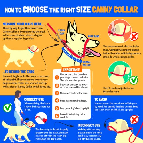 Canny Collar Dog Head Collar, No Pull Leash Training Head Harness, Easy to Fit Halter that Stops Pulling, Comfortable & Calm Control with Padded Collar, Kind To Your Dog, Enjoy Gentle Walks with Small, Medium or Large Dogs, Black, Blue, Purple & Red - BeesActive Australia