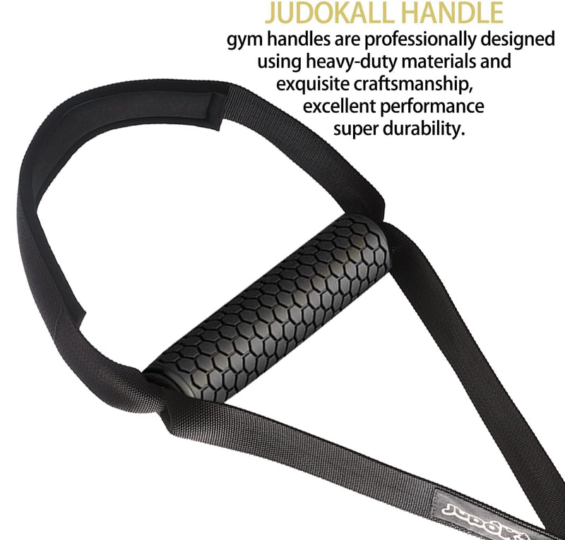 Resistance Band Handles,Cable Machine Handles,Home Gym Accessories for Arm and Leg Exercise,Exercise Handles for Cable Machine,Cable Attachments for Gym:Upgrade D Handle Pulldown Gym Handles. - BeesActive Australia