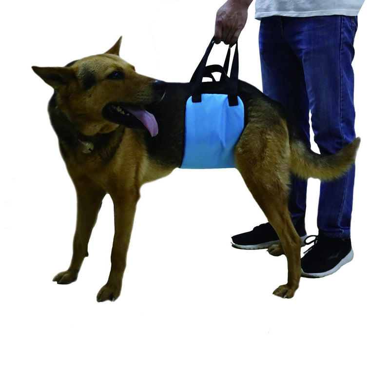 Missbho Breathable Lining Dog seat Belts, Dogs on hind Legs Lift The seat Belt to Help Elderly Dogs with Limited Mobility (Sky Blue) - BeesActive Australia