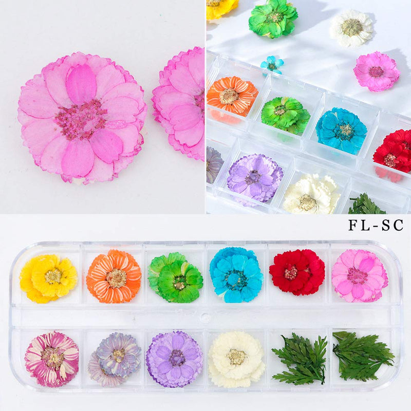 3 Pack/36 Different Shape Colors Natural Real Dried Flowers Nail Art Decoration Sticker for 3D Nail Art Acrylic UV Gel Tips 3 Pack (Style 1) - BeesActive Australia