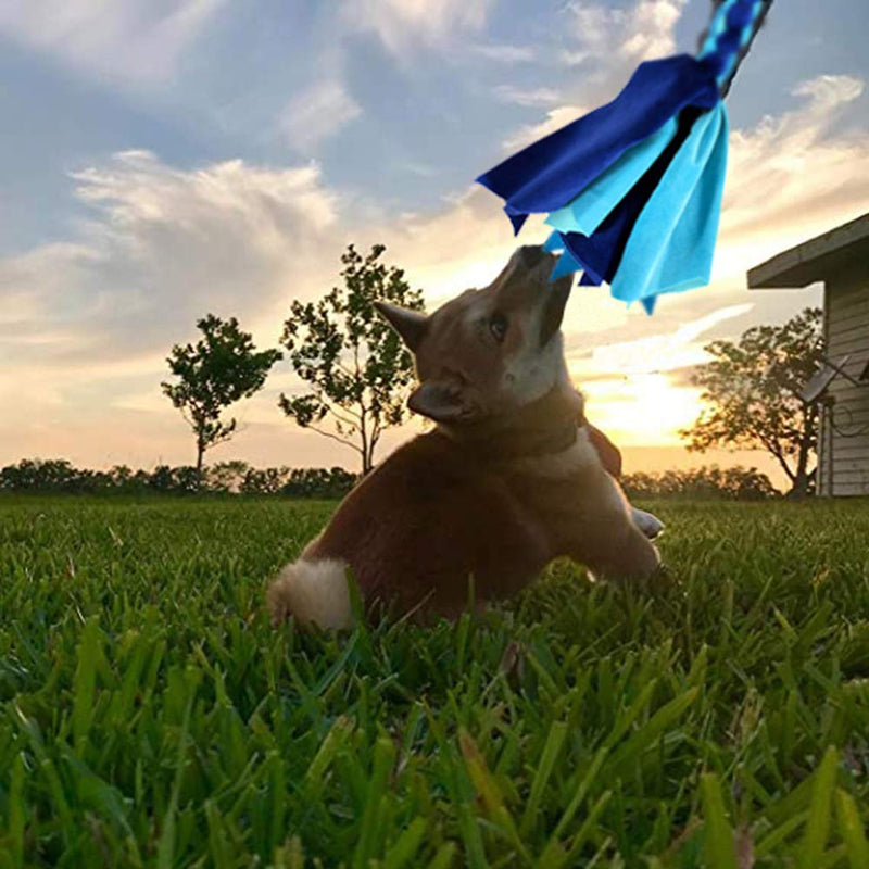 GoodsBeauty Interactive Dog Toys - Extendable Flirt Pole with 2pcs Braided Rope Tugs for Dog Outdoor Entertainment, Train and Exercise, Black, Size L new blue - BeesActive Australia